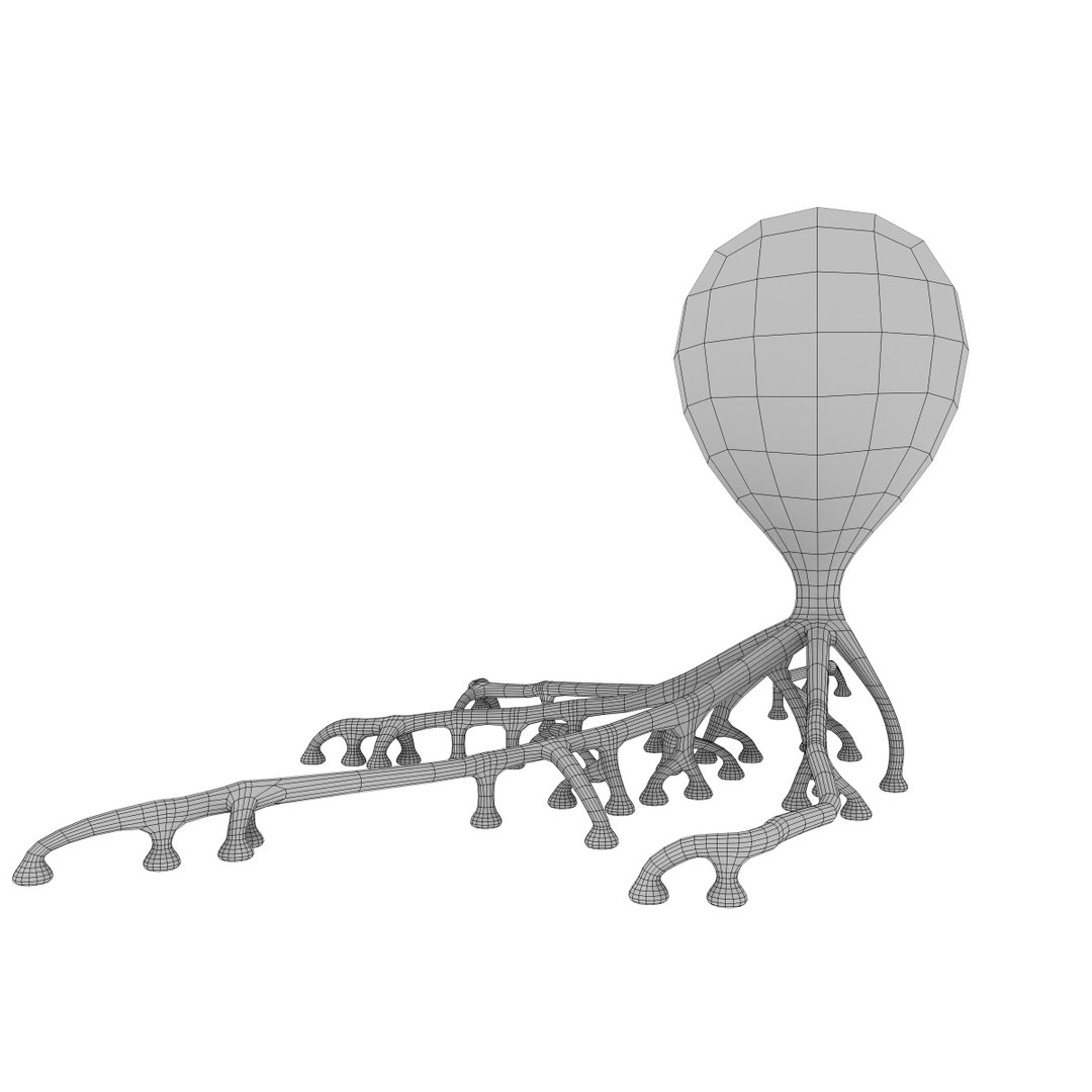 3D eye photoreceptors - TurboSquid 1309507