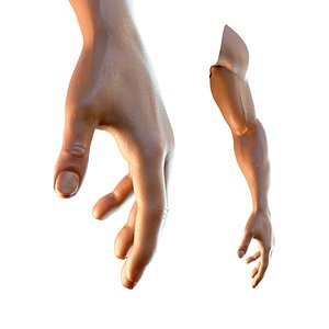 3D dark skin hand anatomy model