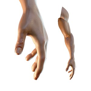 dark skin hand anatomy man