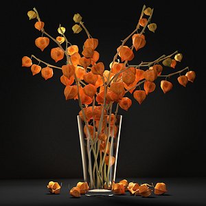Bouquet with physalis 3D