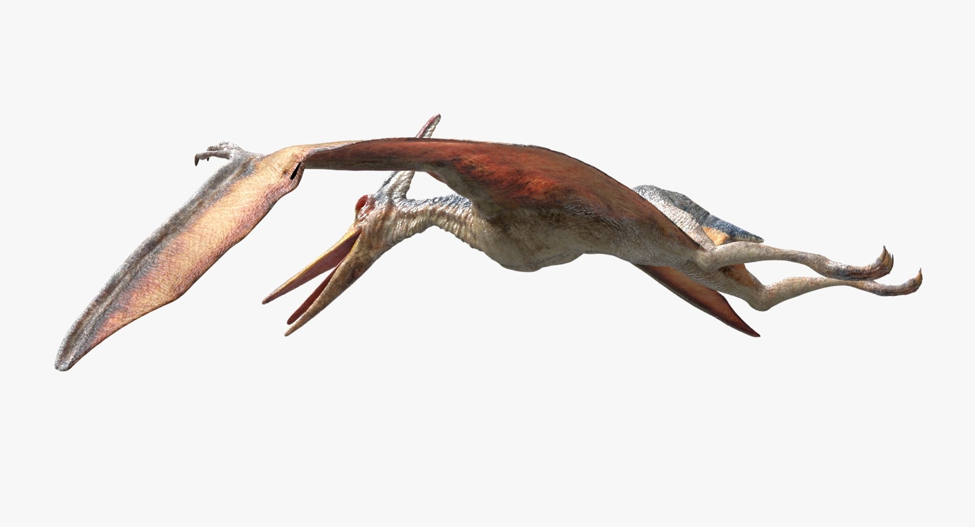 pteranodon rigged obj https://p.turbosquid.com/ts-thumb/sK/kWhfbW/1WA8EilR/14/jpg/1490175936/1920x1080/fit_q87/fb50801d1b5def1ac323d17a9b6f514194d191f6/14.jpg