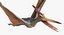 Pteranodon (Rigged)