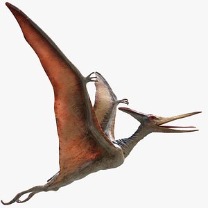 Pteranodon(Rigged)(Animated)
