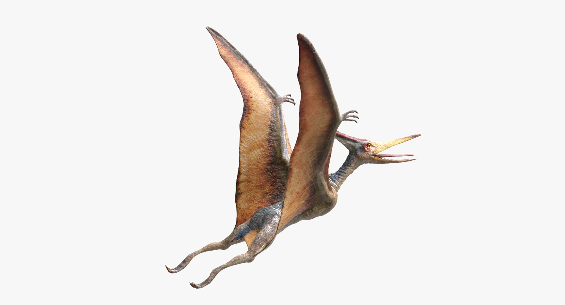 pteranodon rigged obj https://p.turbosquid.com/ts-thumb/sK/kWhfbW/O1dJBG5C/10/jpg/1490175936/1920x1080/fit_q87/fbc1d9addb826e57b4bb18c6ba036bc8b9d63918/10.jpg