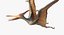 Pteranodon (Rigged)
