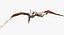 Pteranodon (Rigged)