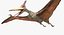 Pteranodon (Rigged)