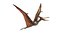 Pteranodon (Rigged)