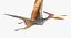 Pteranodon (Rigged)