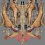 Pteranodon (Rigged)