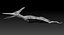 Pteranodon (Rigged)