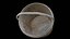 Dirty Plastic Bucket 3D Scan