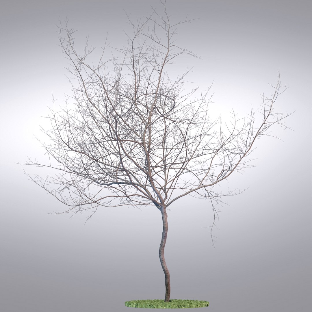 Hi Realistic Series Tree Max