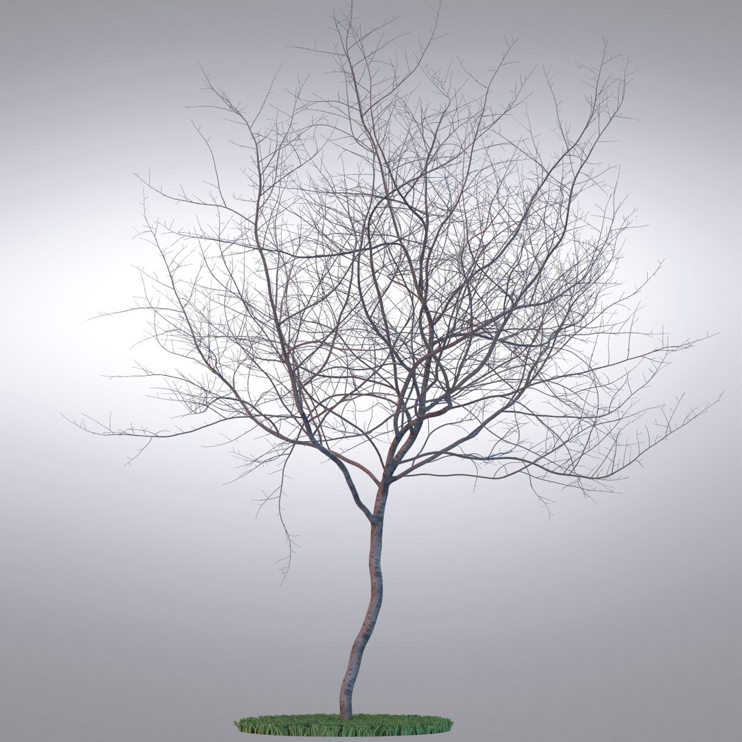 Hi Realistic Series Tree Max