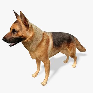 Dog Game 3d Models For Download 