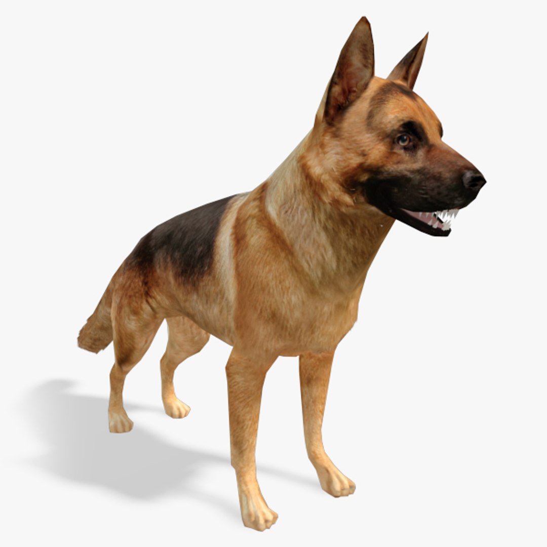 Max Games Dog German Shepard