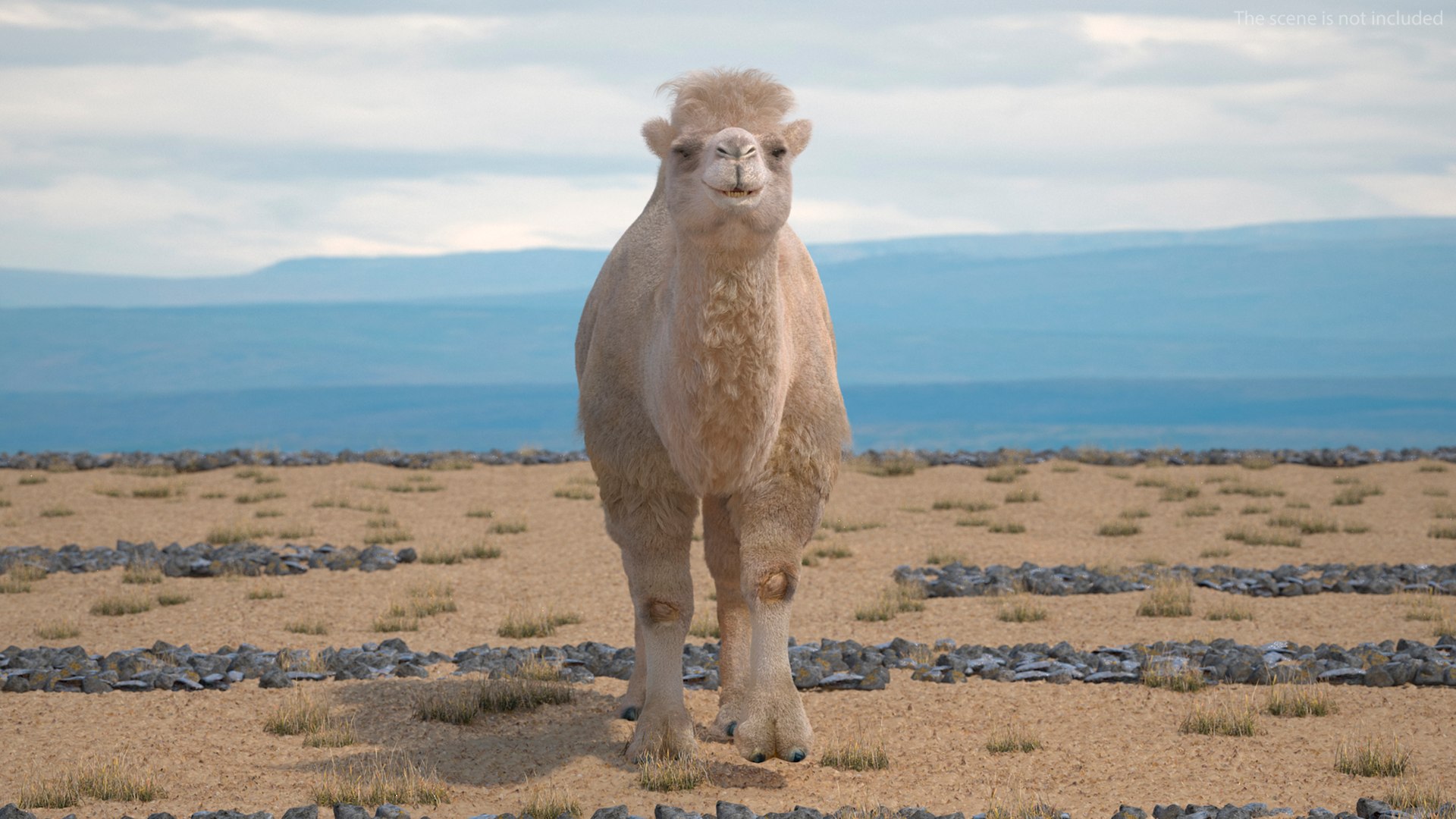 Bactrian Camel Light Colored Walking Pose Fur model https://p.turbosquid.com/ts-thumb/sL/81RCWn/MM/bactriancamellightcoloredwalkingposefurvray3dmodel002/jpg/1724732942/1920x1080/fit_q87/81282cd731a1f464355181af3baaf929ec36dbb5/bactriancamellightcoloredwalkingposefurvray3dmodel002.jpg