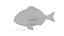 3D Bream Fish
