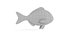 3D Bream Fish