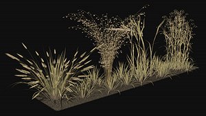 Dry autumn field grass model