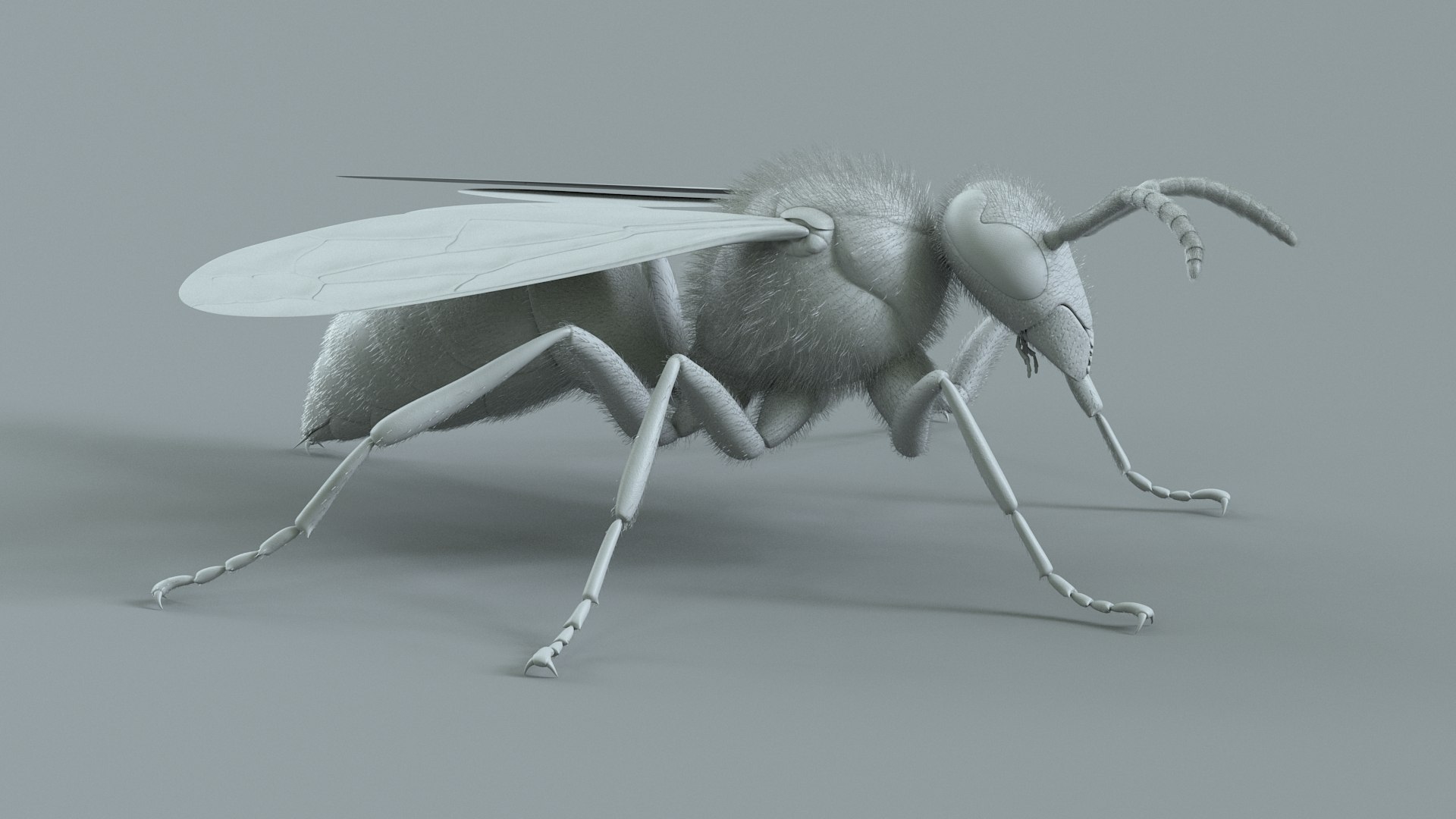 Wasp Vespula Vulgaris Rigged Xgen 3D model https://p.turbosquid.com/ts-thumb/sL/NTvRQB/03/wasp_16/jpg/1719401975/1920x1080/fit_q87/33933862a417ee6b212e326333bca956883c48f4/wasp_16.jpg