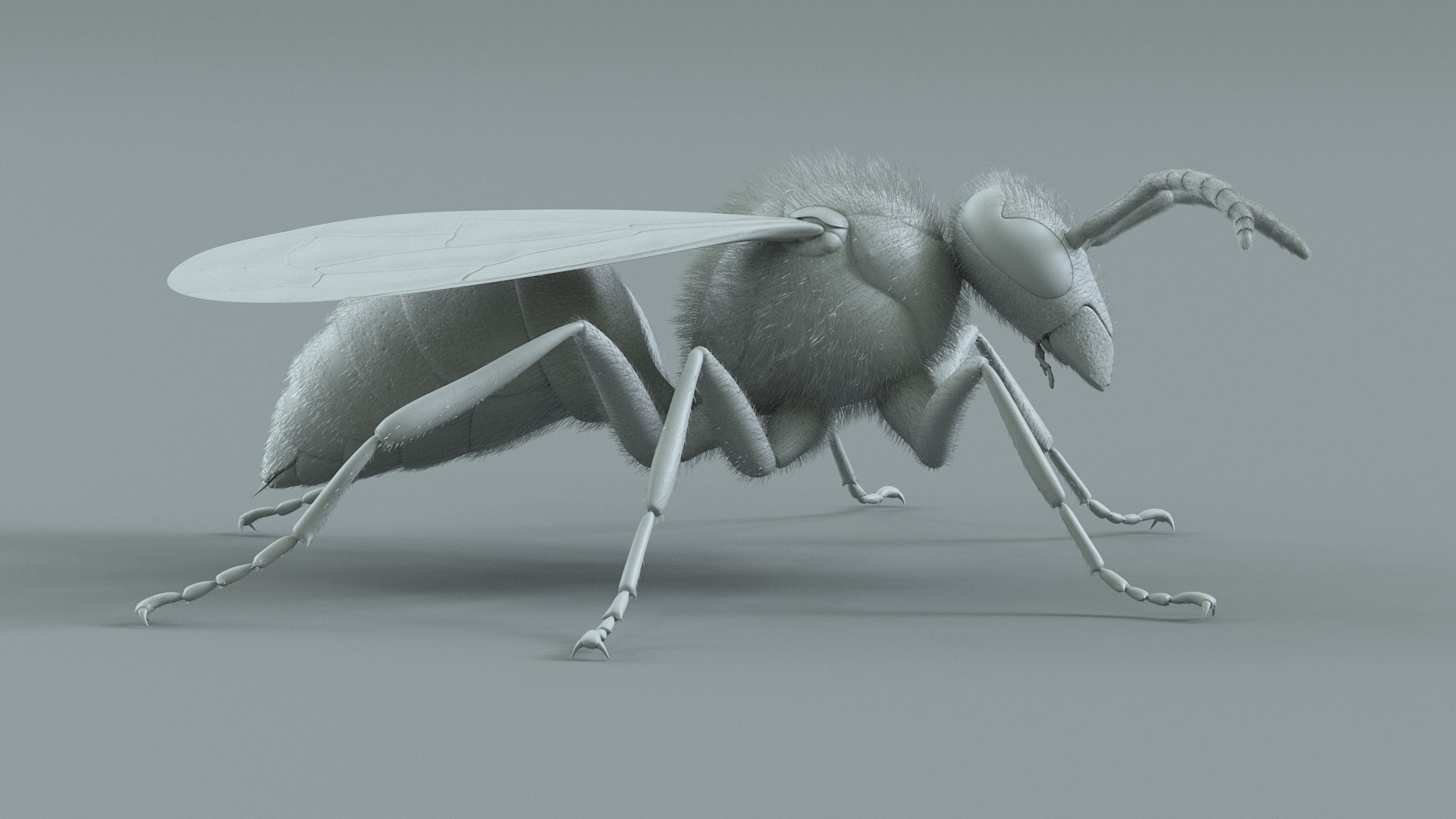 Wasp Vespula Vulgaris Rigged Xgen 3D model https://p.turbosquid.com/ts-thumb/sL/NTvRQB/3S/wasp_23/jpg/1719401981/1920x1080/fit_q87/24f4c4477ed4ba1c63926312f88b4c84e69b5469/wasp_23.jpg