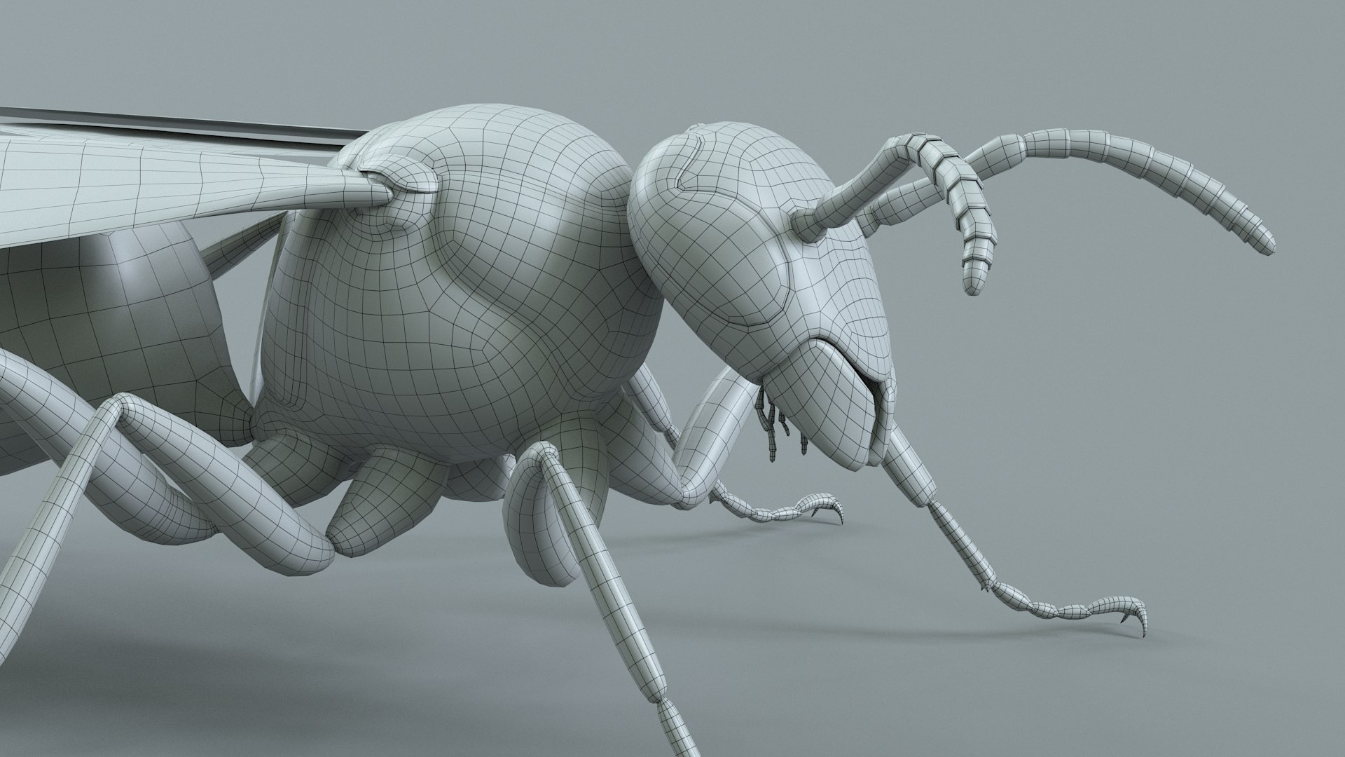 Wasp Vespula Vulgaris Rigged Xgen 3D model https://p.turbosquid.com/ts-thumb/sL/NTvRQB/3n/wasp_35/jpg/1719401989/1920x1080/fit_q87/60e2c28110729b7b4279ed9bc2a65f7f5f3b9593/wasp_35.jpg
