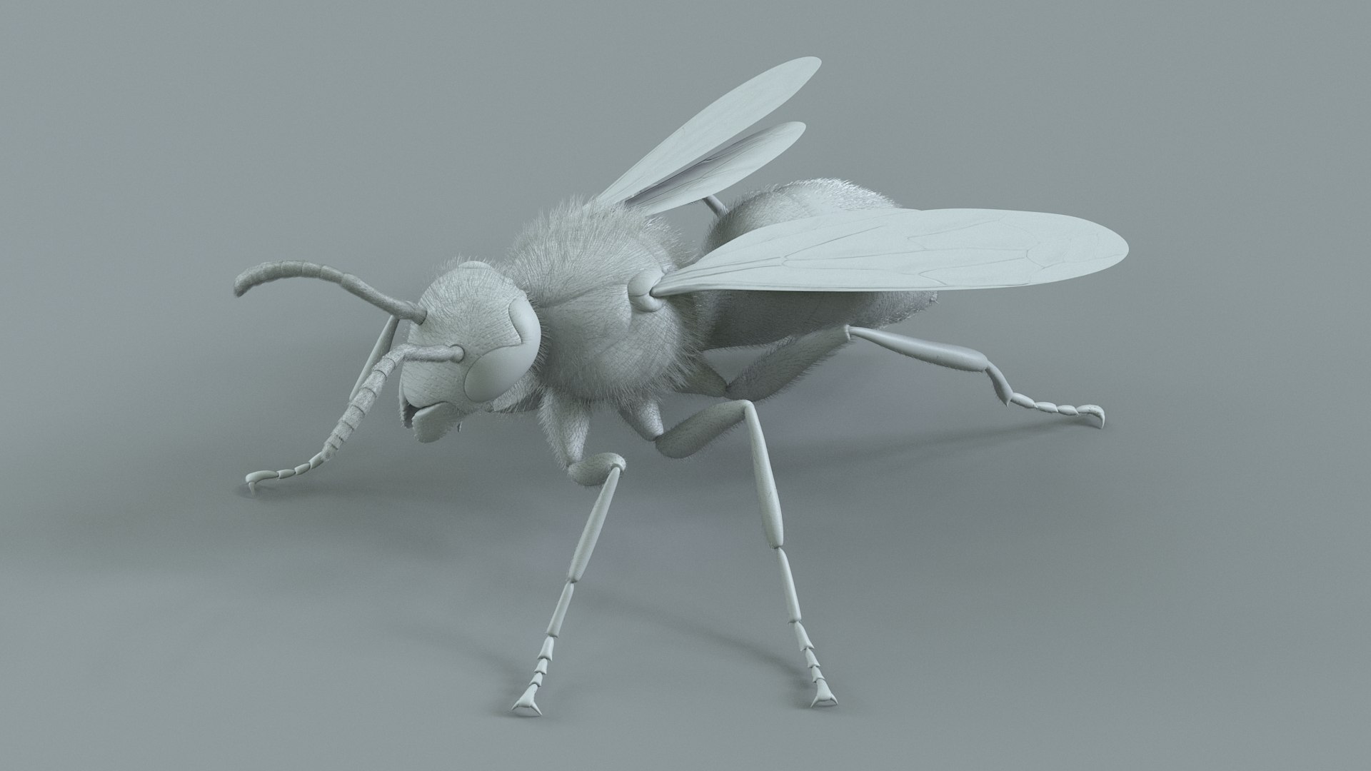 Wasp Vespula Vulgaris Rigged Xgen 3D model https://p.turbosquid.com/ts-thumb/sL/NTvRQB/4z/wasp_20/jpg/1719401978/1920x1080/fit_q87/8307b5e0f8b2eea5dc23b55d262ffbc309aab82d/wasp_20.jpg