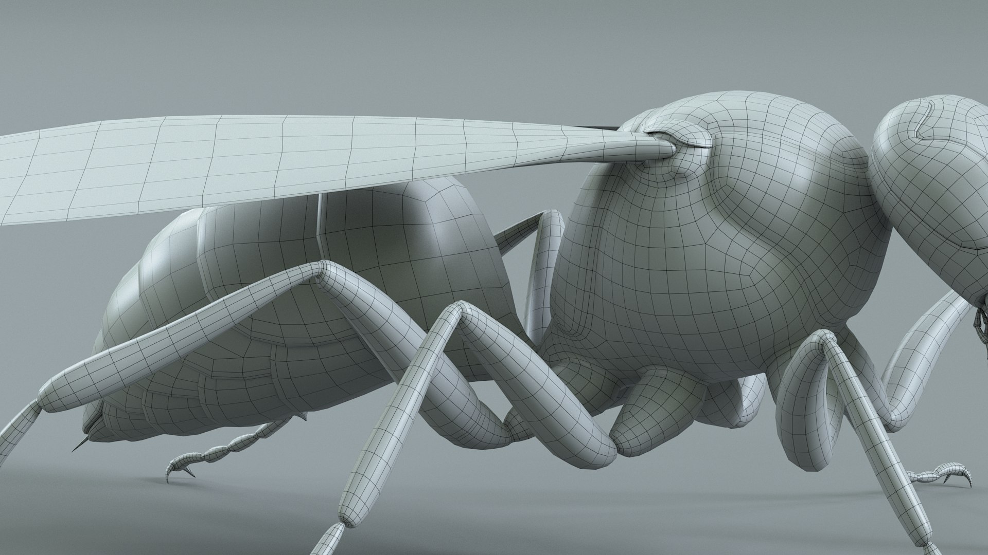 Wasp Vespula Vulgaris Rigged Xgen 3D model https://p.turbosquid.com/ts-thumb/sL/NTvRQB/80/wasp_36/jpg/1719401990/1920x1080/fit_q87/8cdd1fd18247898ae24a2ce79099bbfb7994c871/wasp_36.jpg