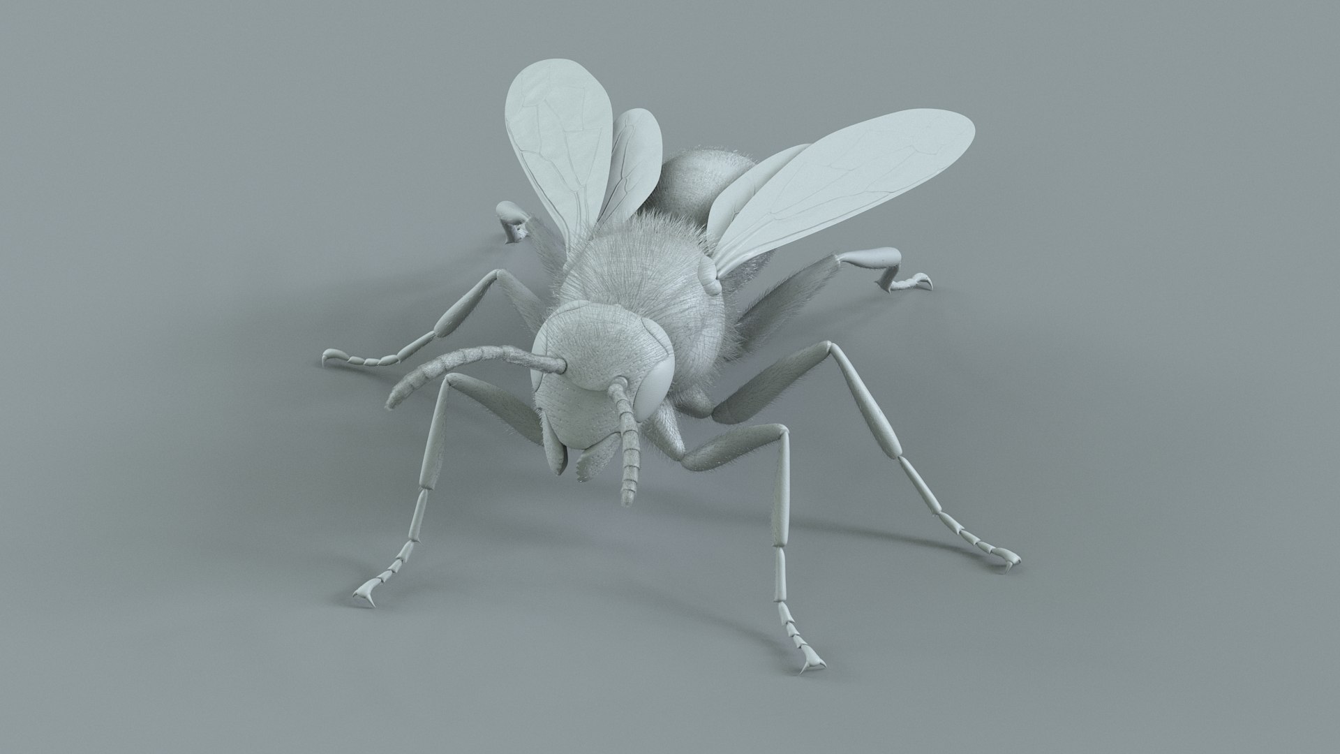 Wasp Vespula Vulgaris Rigged Xgen 3D model https://p.turbosquid.com/ts-thumb/sL/NTvRQB/BA/wasp_21/jpg/1719401980/1920x1080/fit_q87/1c401ebedbfbd6602a850d12ac19a45302e25f4f/wasp_21.jpg