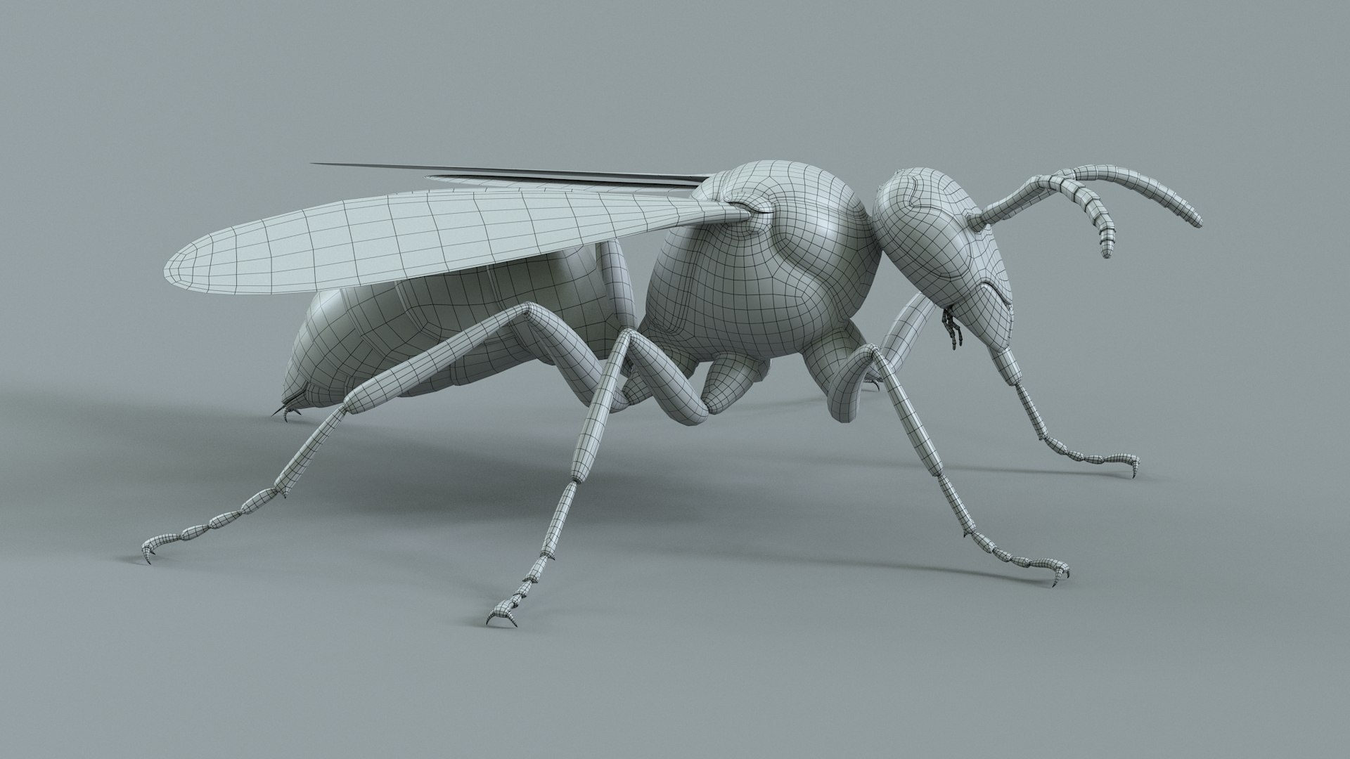 Wasp Vespula Vulgaris Rigged Xgen 3D model https://p.turbosquid.com/ts-thumb/sL/NTvRQB/DN/wasp_27/jpg/1719401984/1920x1080/fit_q87/c1d8c90411be792ff8059ad2220fe958f1967538/wasp_27.jpg