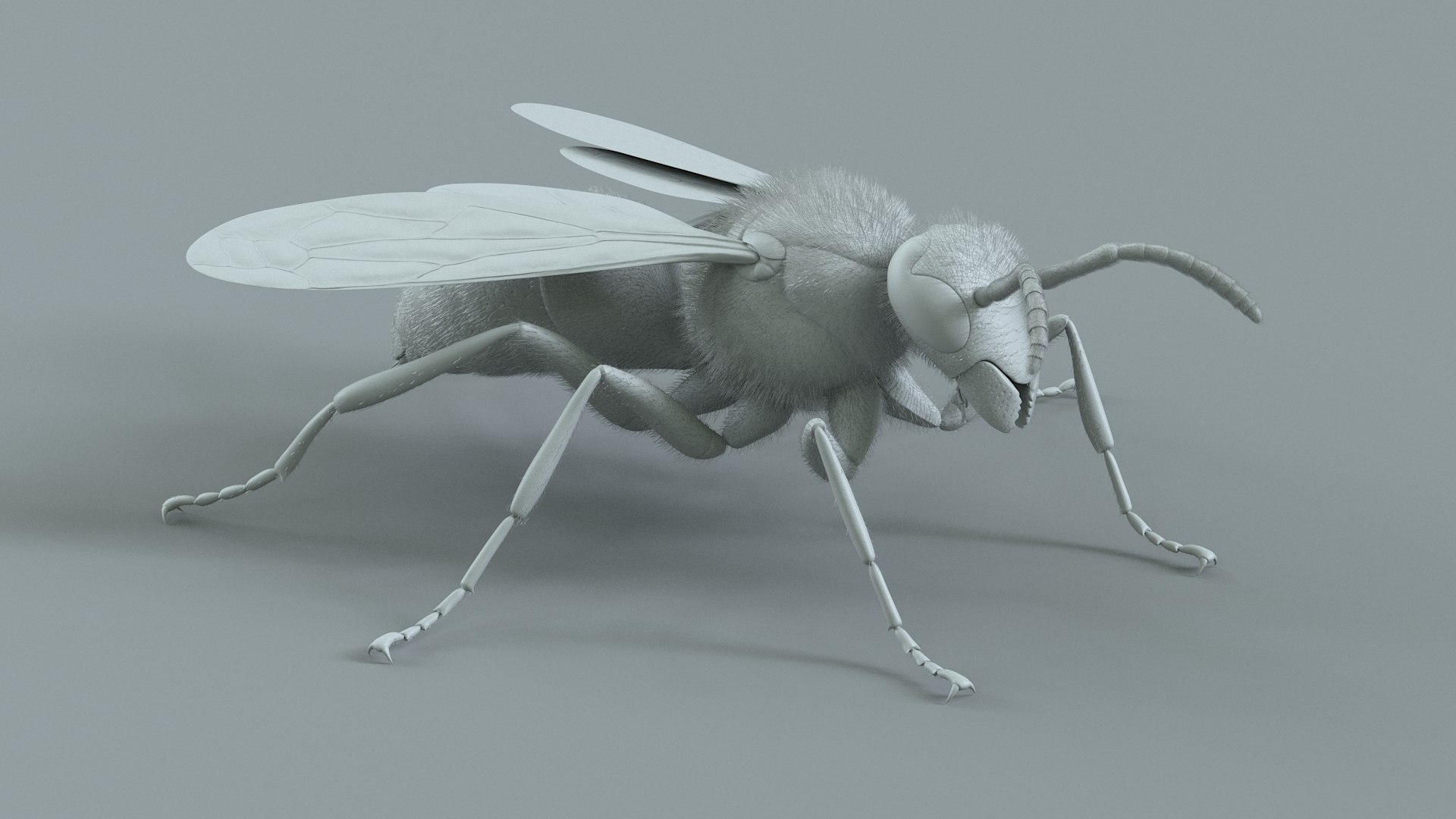 Wasp Vespula Vulgaris Rigged Xgen 3D model https://p.turbosquid.com/ts-thumb/sL/NTvRQB/EJ/wasp_15/jpg/1719401976/1920x1080/fit_q87/281f4bd926298cf90735a629a5d6d075b99274ca/wasp_15.jpg