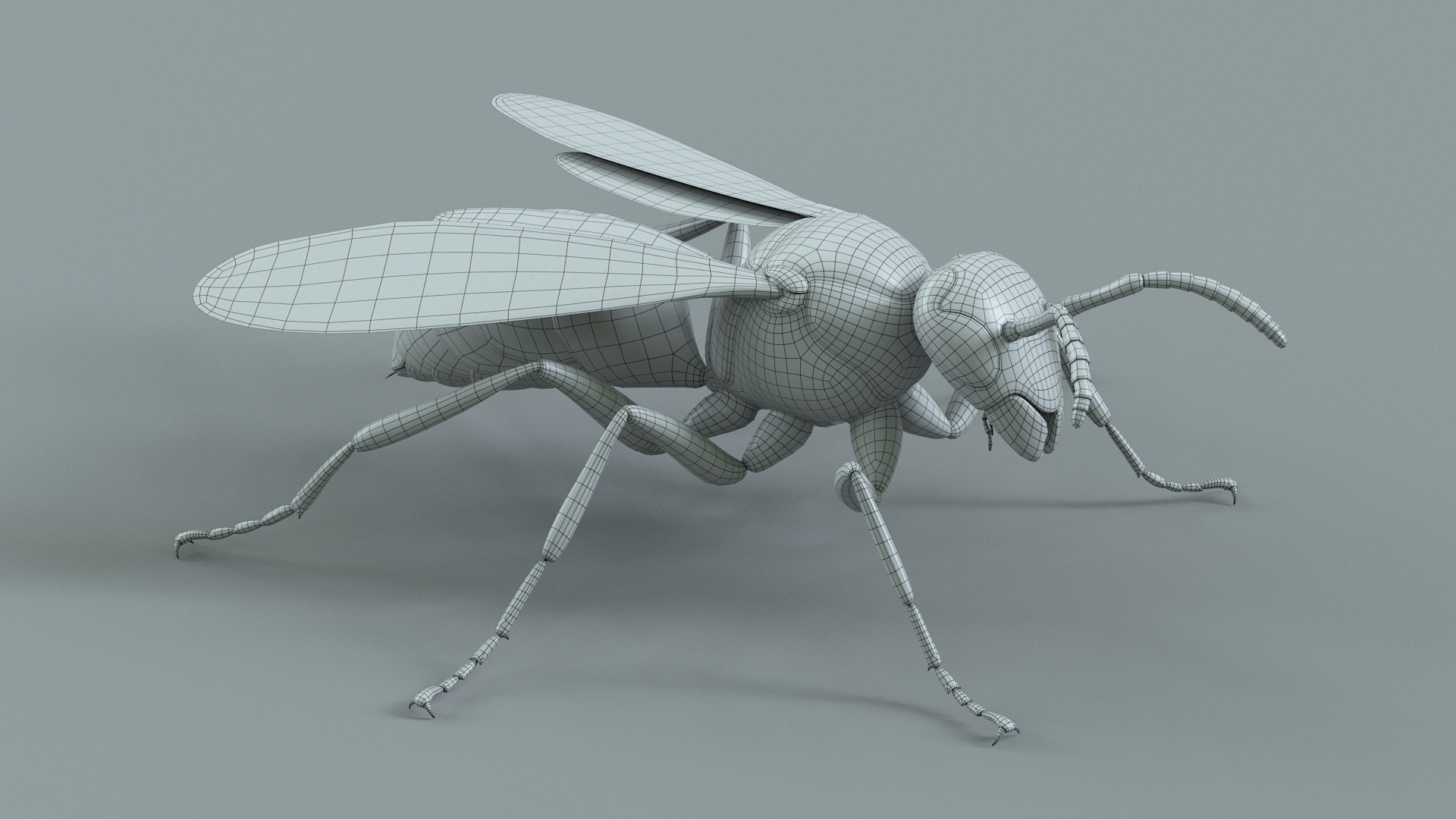 Wasp Vespula Vulgaris Rigged Xgen 3D model https://p.turbosquid.com/ts-thumb/sL/NTvRQB/Hf/wasp_33/jpg/1719401988/1920x1080/fit_q87/a74ed28cdfd066fc042cc060f3528615c31b4491/wasp_33.jpg