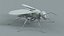 黄蜂 Vespula Vulgaris Ribbed Xgen