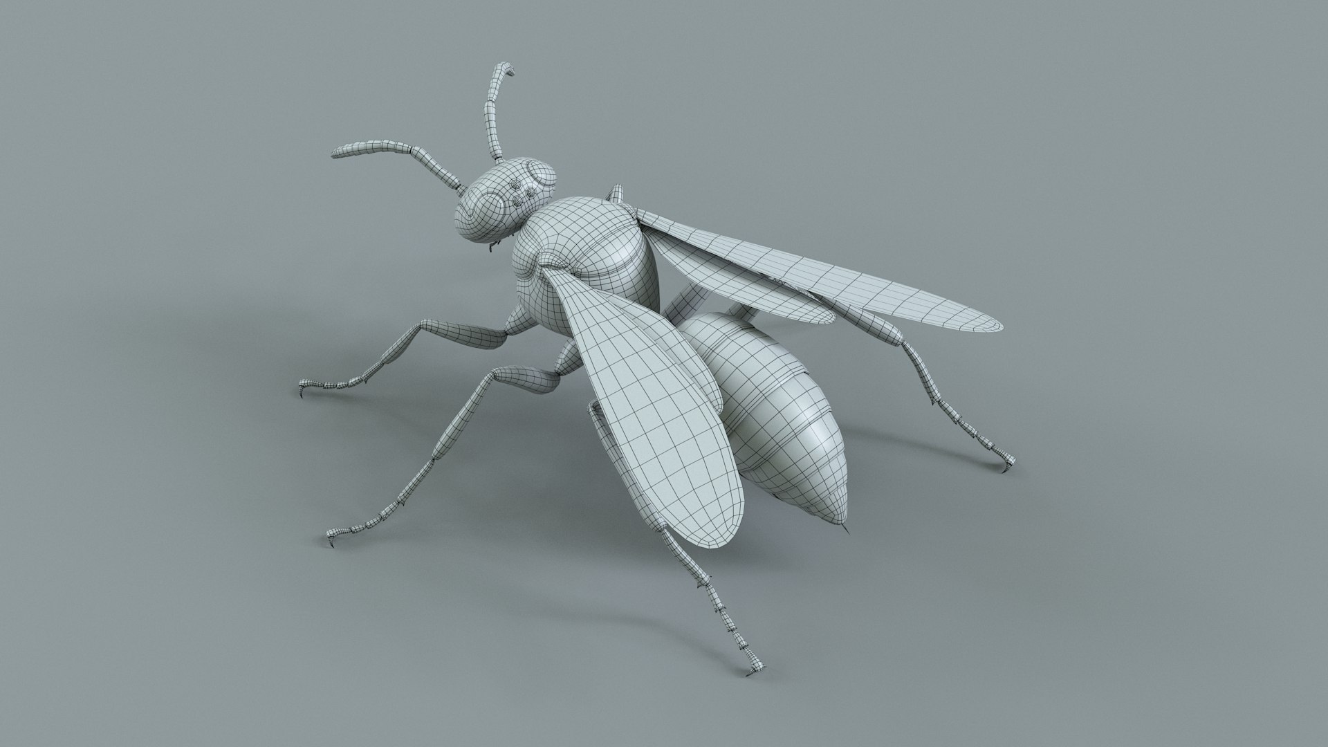 Wasp Vespula Vulgaris Rigged Xgen 3D model https://p.turbosquid.com/ts-thumb/sL/NTvRQB/KA/wasp_30/jpg/1719401986/1920x1080/fit_q87/c013446d3203099faa9e5e52f755f72bd7102826/wasp_30.jpg
