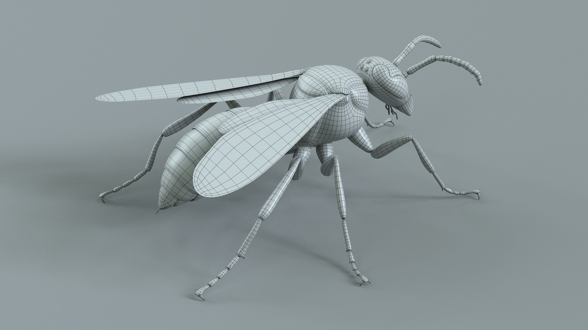 Wasp Vespula Vulgaris Rigged Xgen 3D model https://p.turbosquid.com/ts-thumb/sL/NTvRQB/Kr/wasp_28/jpg/1719401985/1920x1080/fit_q87/6b8f6fbb8aa599de800350f043cc7ae0047b64fa/wasp_28.jpg