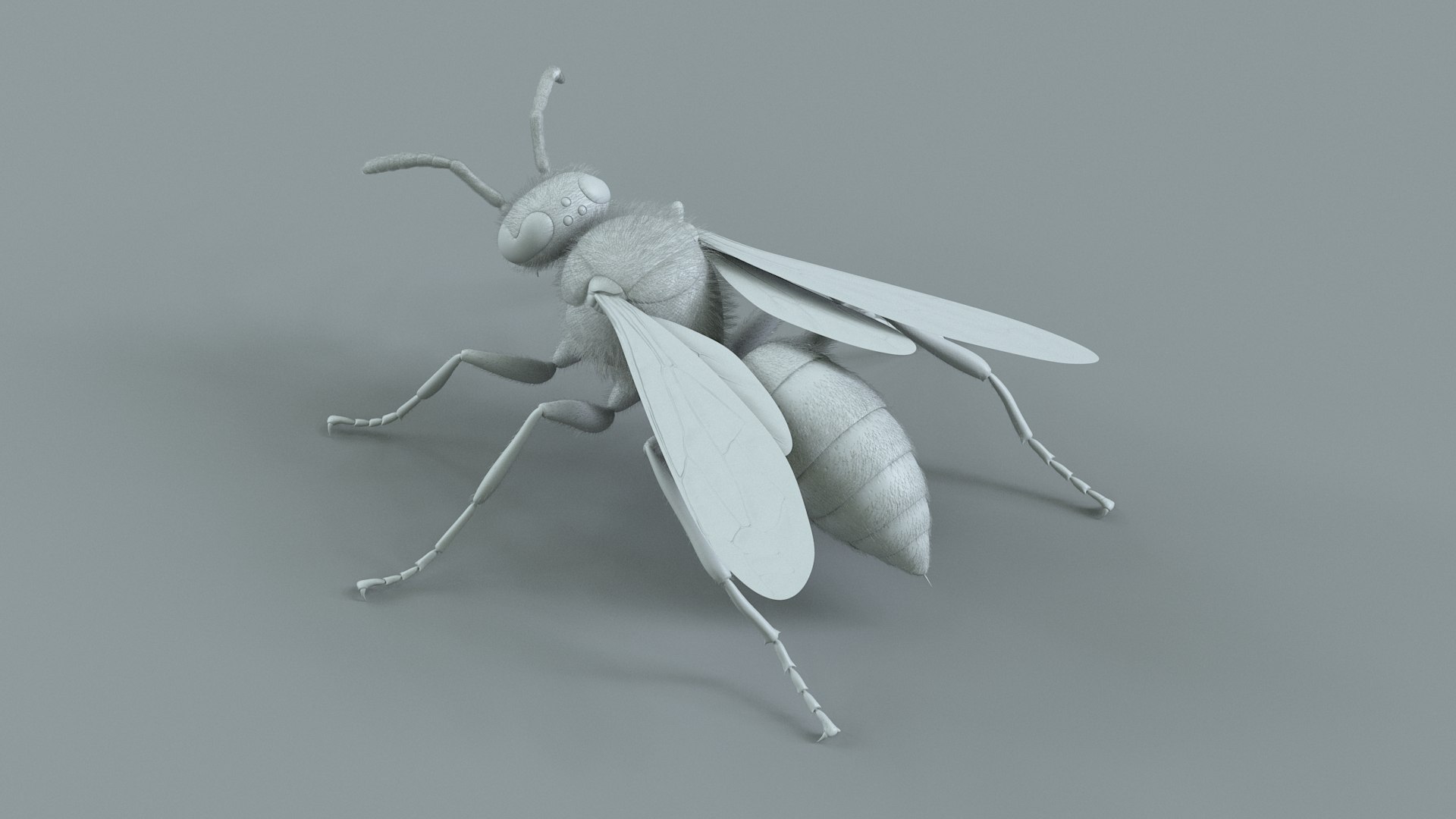 Wasp Vespula Vulgaris Rigged Xgen 3D model https://p.turbosquid.com/ts-thumb/sL/NTvRQB/RL/wasp_19/jpg/1719401977/1920x1080/fit_q87/fc7ce4d1fd04df3a5afe8cfbb9985d1e1337ef68/wasp_19.jpg