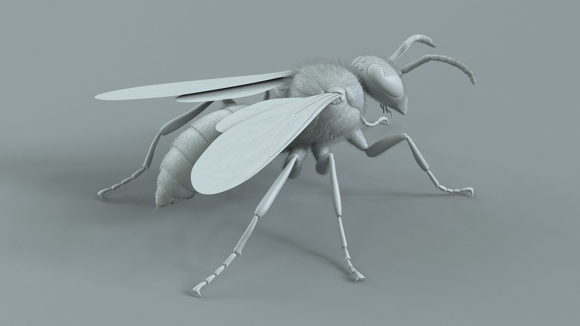Wasp Vespula Vulgaris Rigged Xgen 3D model https://p.turbosquid.com/ts-thumb/sL/NTvRQB/Xv/wasp_17/jpg/1719401976/1920x1080/fit_q87/8da8c40d082ead190d738ce276c192b7ded4019b/wasp_17.jpg