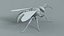 黄蜂 Vespula Vulgaris Ribbed Xgen