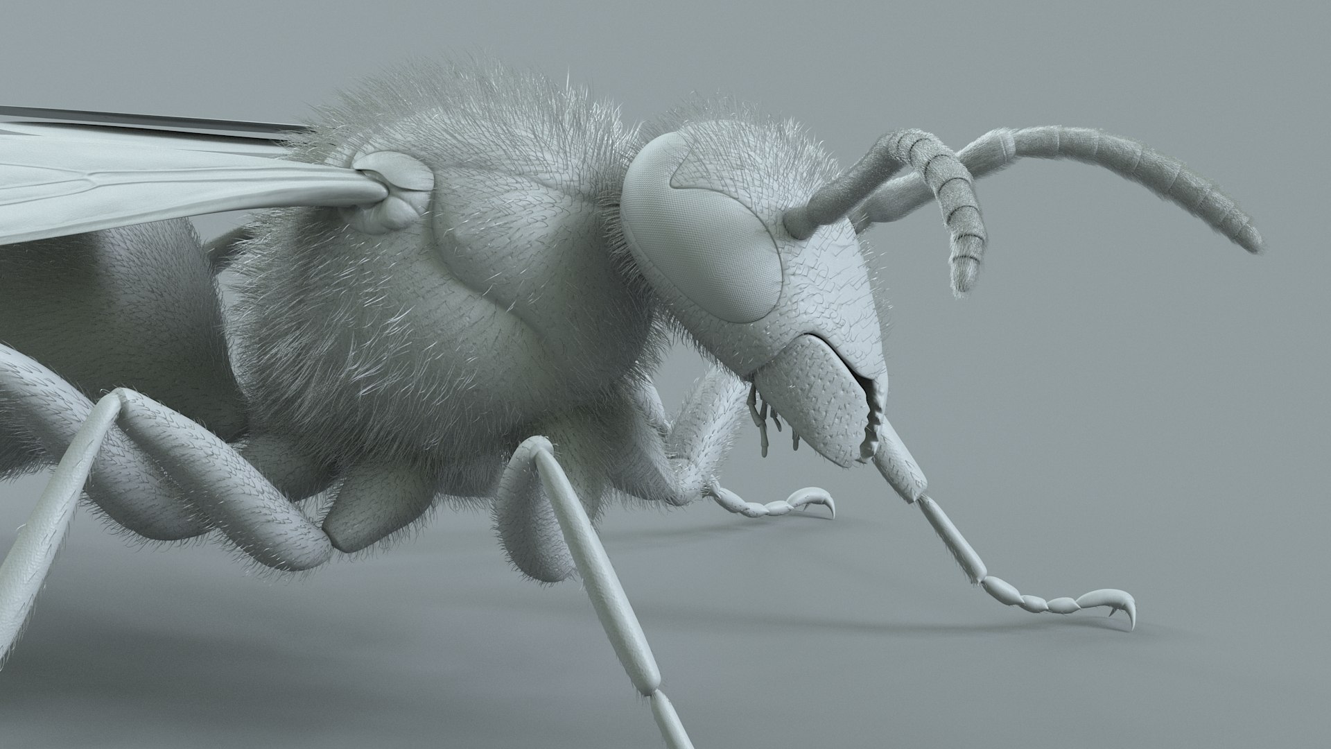 Wasp Vespula Vulgaris Rigged Xgen 3D model https://p.turbosquid.com/ts-thumb/sL/NTvRQB/ZQ/wasp_24/jpg/1719401982/1920x1080/fit_q87/422b080b9ac1ef318f7fd8584fbf1206e95db30f/wasp_24.jpg