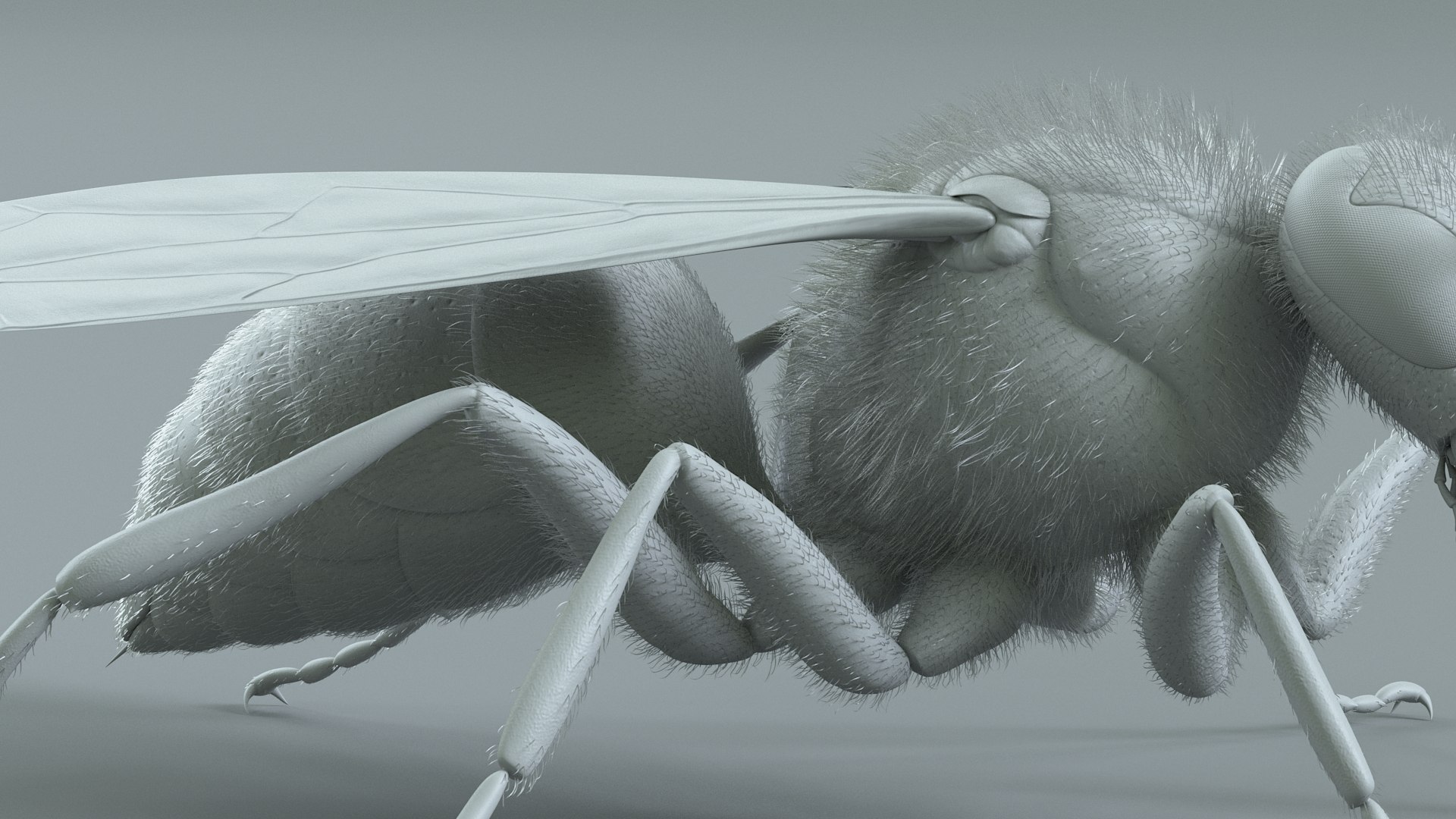 Wasp Vespula Vulgaris Rigged Xgen 3D model https://p.turbosquid.com/ts-thumb/sL/NTvRQB/bL/wasp_25/jpg/1719401983/1920x1080/fit_q87/f8ff06e2b3a9453b604da70c4abe386ebbefe944/wasp_25.jpg