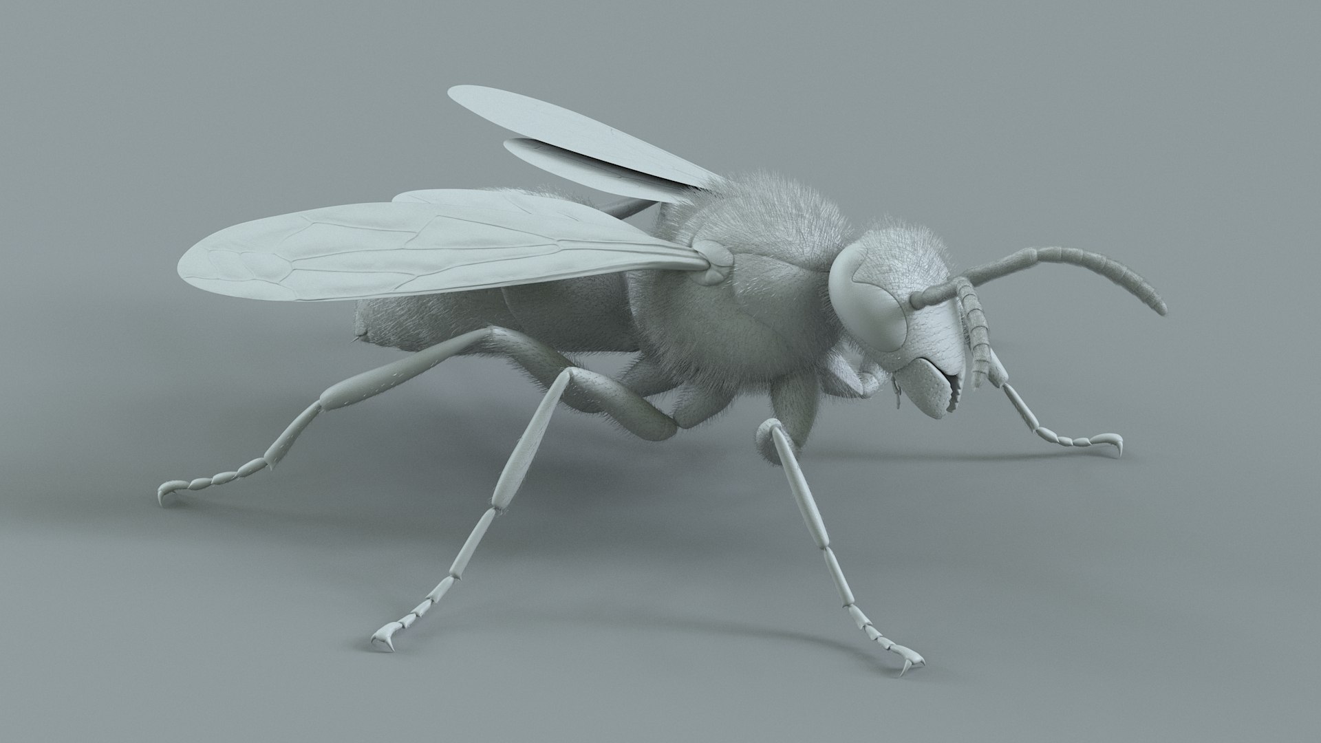 Wasp Vespula Vulgaris Rigged Xgen 3D model https://p.turbosquid.com/ts-thumb/sL/NTvRQB/iG/wasp_22/jpg/1719401980/1920x1080/fit_q87/4acbfb070e858f2e82bca3d7ff1ec70349c9cab8/wasp_22.jpg