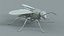 黄蜂 Vespula Vulgaris Ribbed Xgen