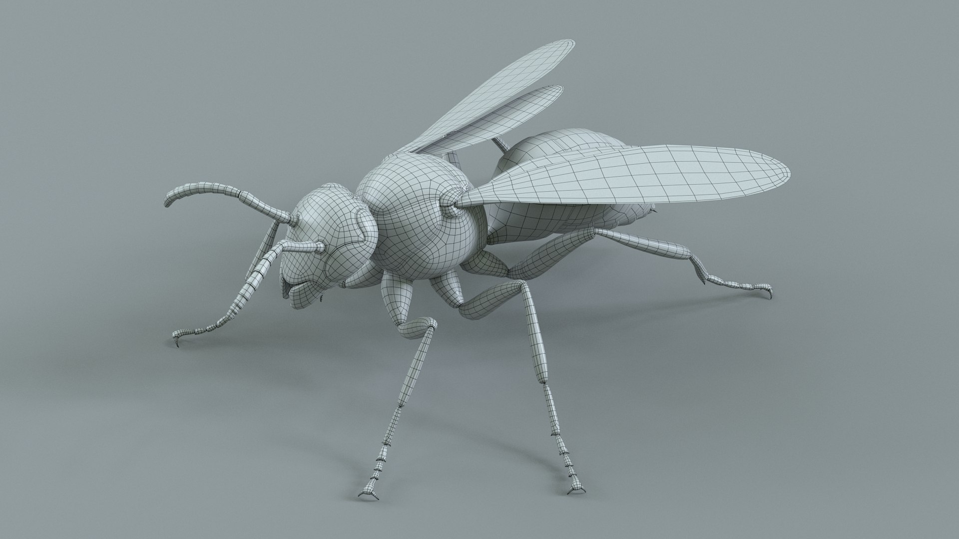 Wasp Vespula Vulgaris Rigged Xgen 3D model https://p.turbosquid.com/ts-thumb/sL/NTvRQB/nI/wasp_31/jpg/1719401990/1920x1080/fit_q87/97ffaaefe995dfec482e8464f216412b62f51b51/wasp_31.jpg