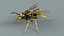 黄蜂 Vespula Vulgaris Ribbed Xgen