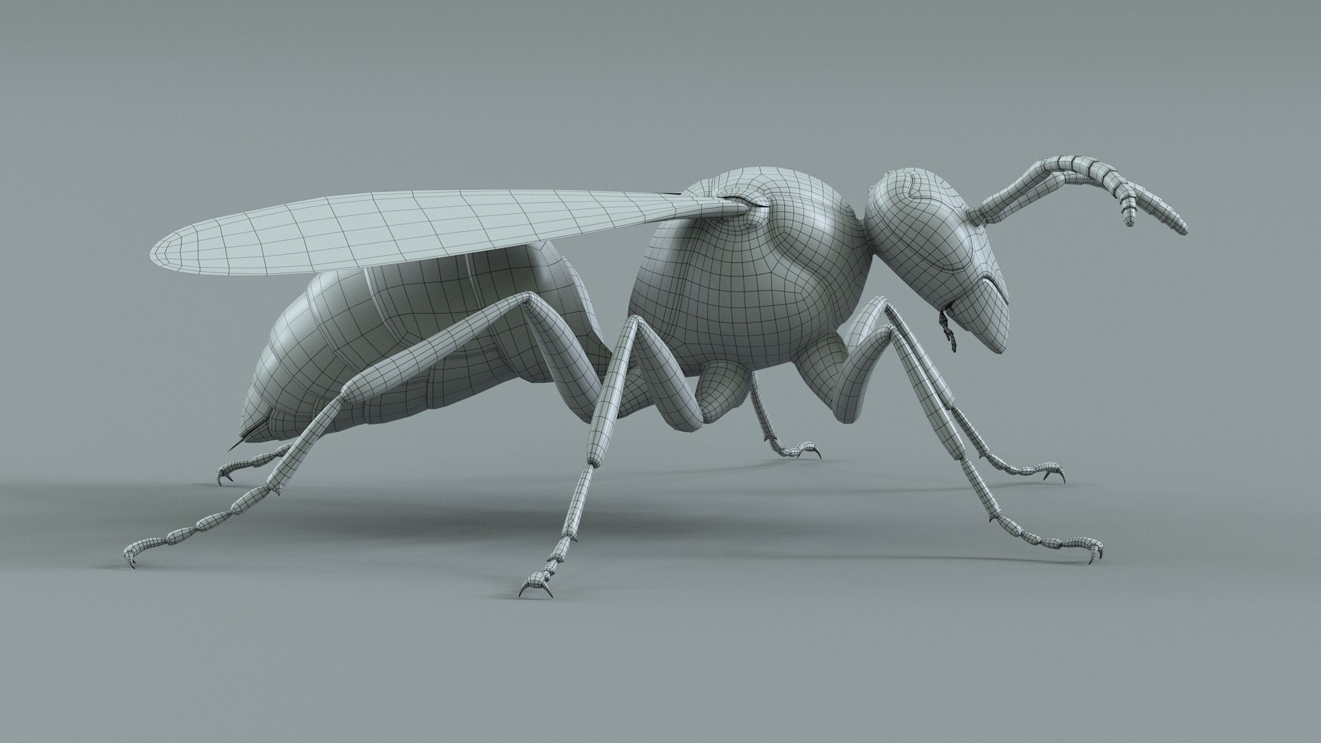 Wasp Vespula Vulgaris Rigged Xgen 3D model https://p.turbosquid.com/ts-thumb/sL/NTvRQB/yE/wasp_34/jpg/1719401988/1920x1080/fit_q87/c8aa49b24529836bdd690b641a93dc44e72b15dc/wasp_34.jpg