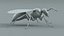 黄蜂 Vespula Vulgaris Ribbed Xgen