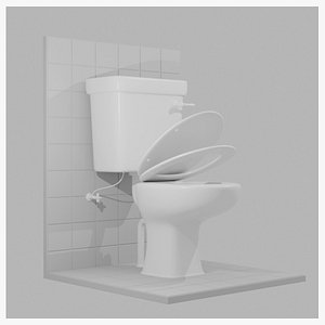 Western Toilet model