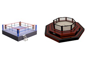 3D arena fight model