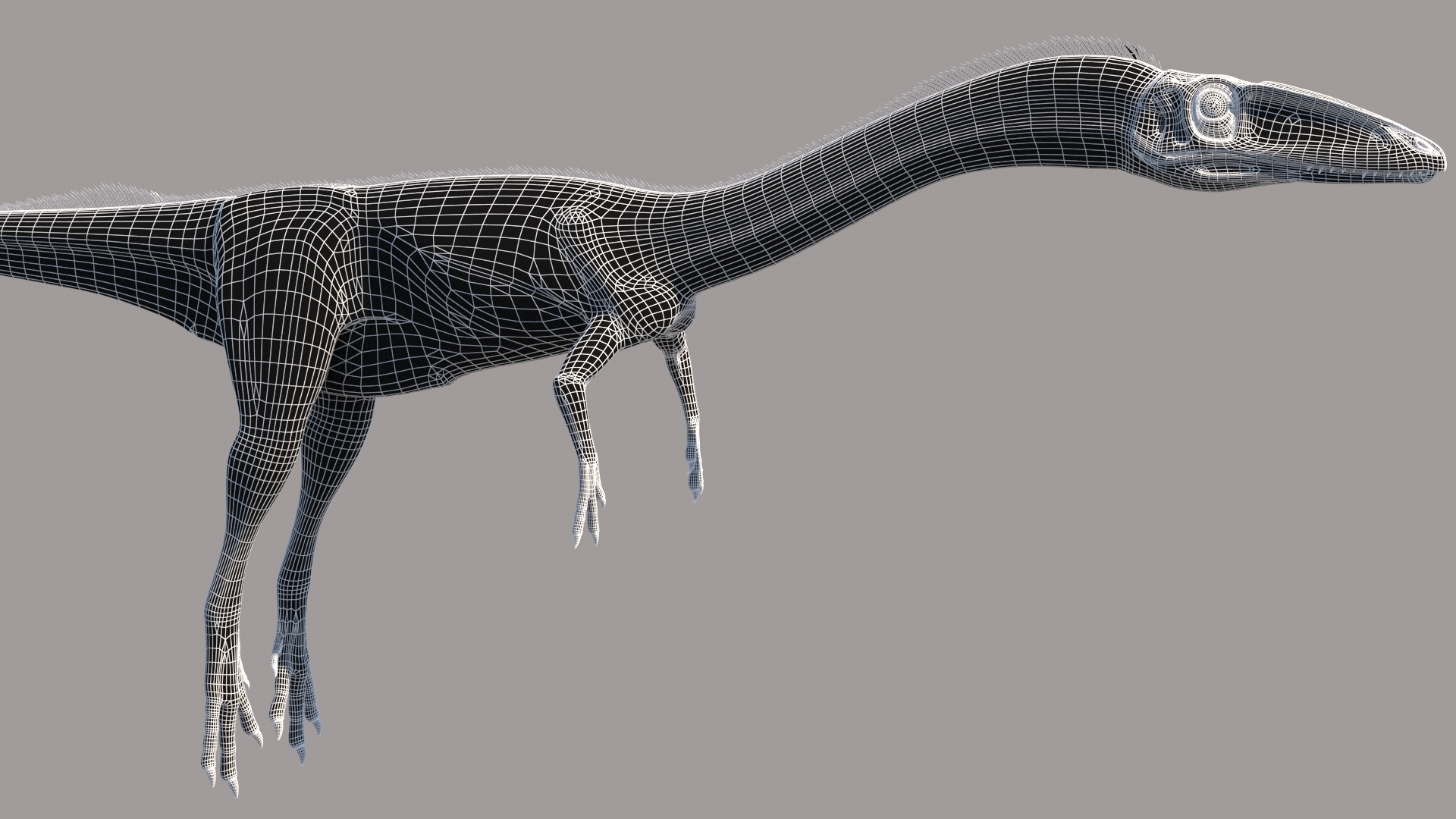 coelophysis model made by safari ltd